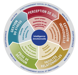 Intelligence émotionnelle pour leaders – modèle EQ-i 2.0