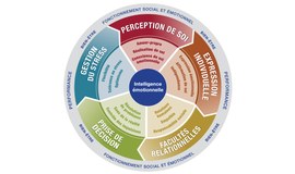 Formation Intelligence émotionnelle pour leaders